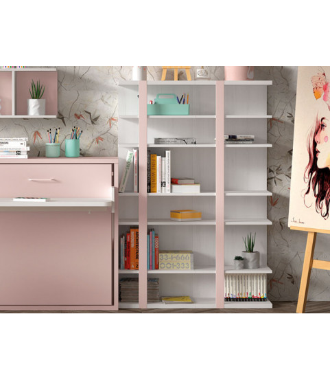 Estantería Modelo 22 en Muebles Valencia