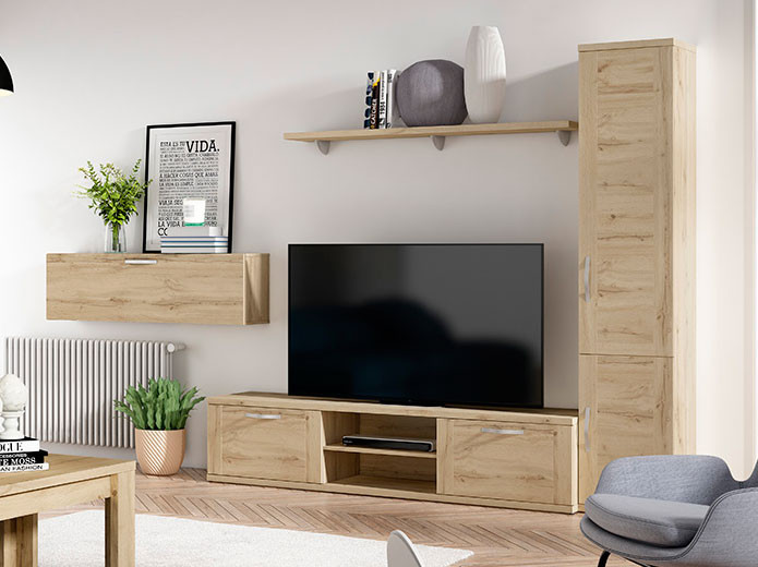 Mueble TV dos puertas y cajón AKE