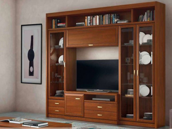 Salón librería, mueble tv