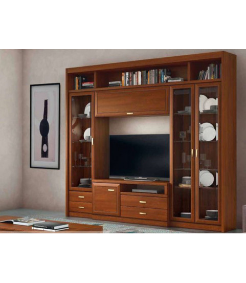 Salón librería, mueble tv
