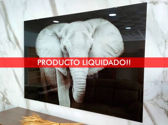 Cuadro Exposición 1