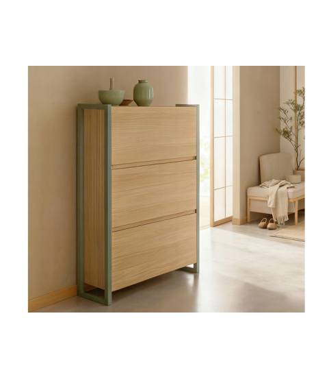 Mueble para los zapatos 3 puertas