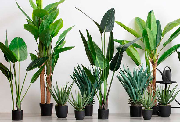 Plantas Artificiales y Objetos Decorativos en Muebles Valencia, tu tienda de muebles en Madrid